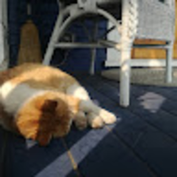 Meet your Posher, Tomono - Picture 1 of 1